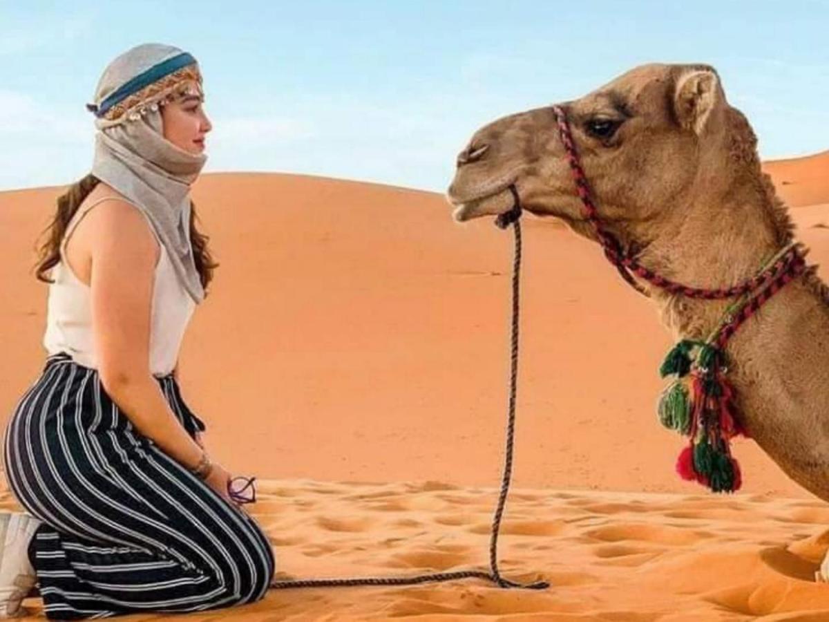 Desert Paradise Luxury Camp 메르주가 외부 사진