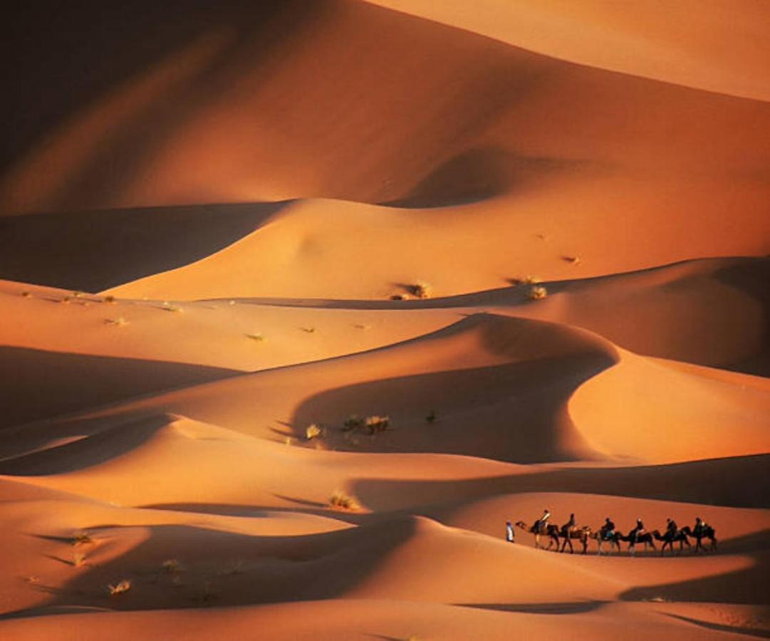 Desert Paradise Luxury Camp 메르주가 외부 사진
