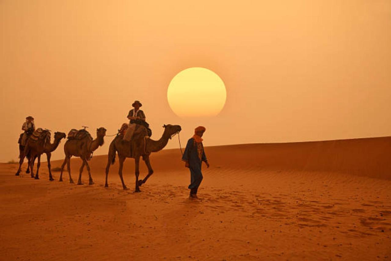 Desert Paradise Luxury Camp 메르주가 외부 사진