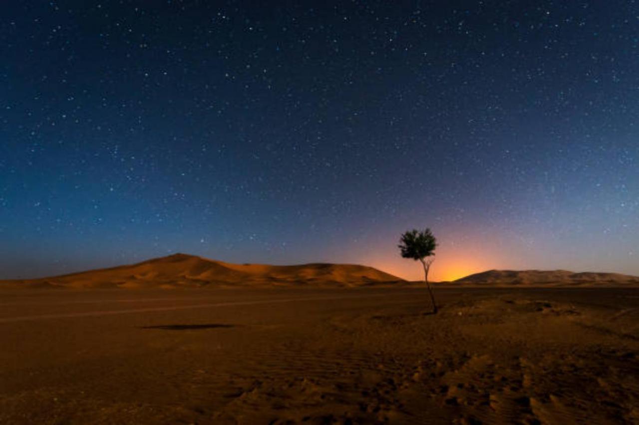 Desert Paradise Luxury Camp 메르주가 외부 사진