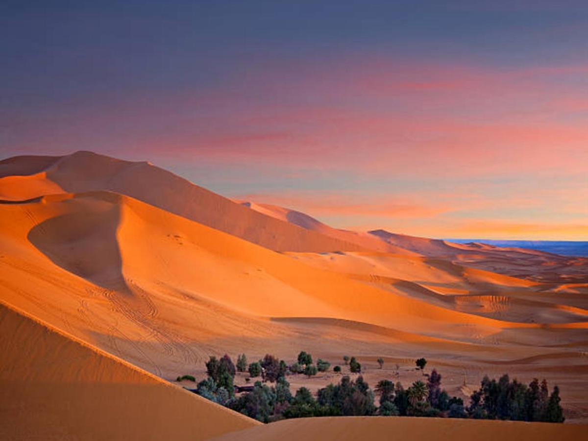 Desert Paradise Luxury Camp 메르주가 외부 사진