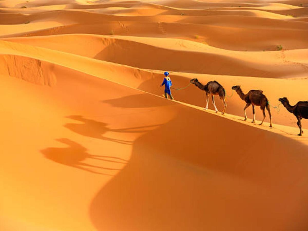 Desert Paradise Luxury Camp 메르주가 외부 사진