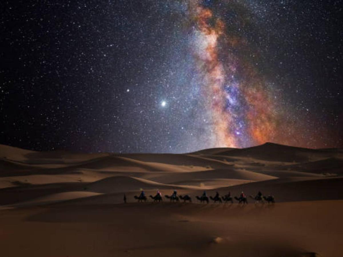 Desert Paradise Luxury Camp 메르주가 외부 사진