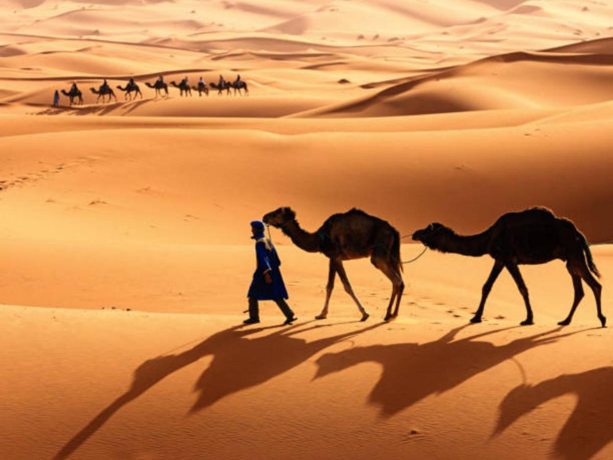 Desert Paradise Luxury Camp 메르주가 외부 사진