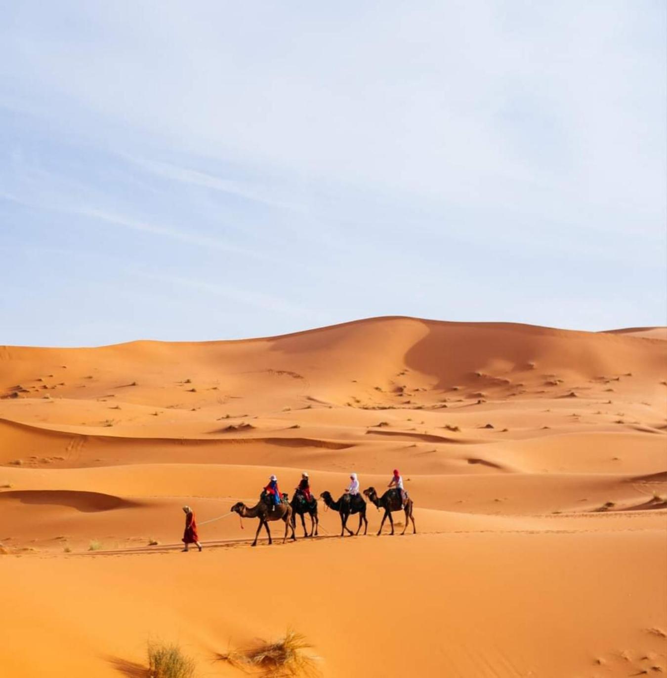Desert Paradise Luxury Camp 메르주가 외부 사진