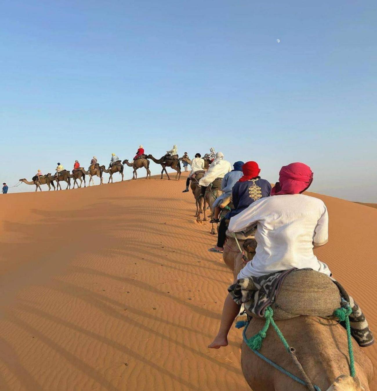 Desert Paradise Luxury Camp 메르주가 외부 사진
